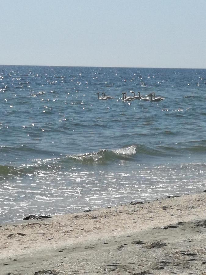 Mamaia Summerland Mrs Εξωτερικό φωτογραφία